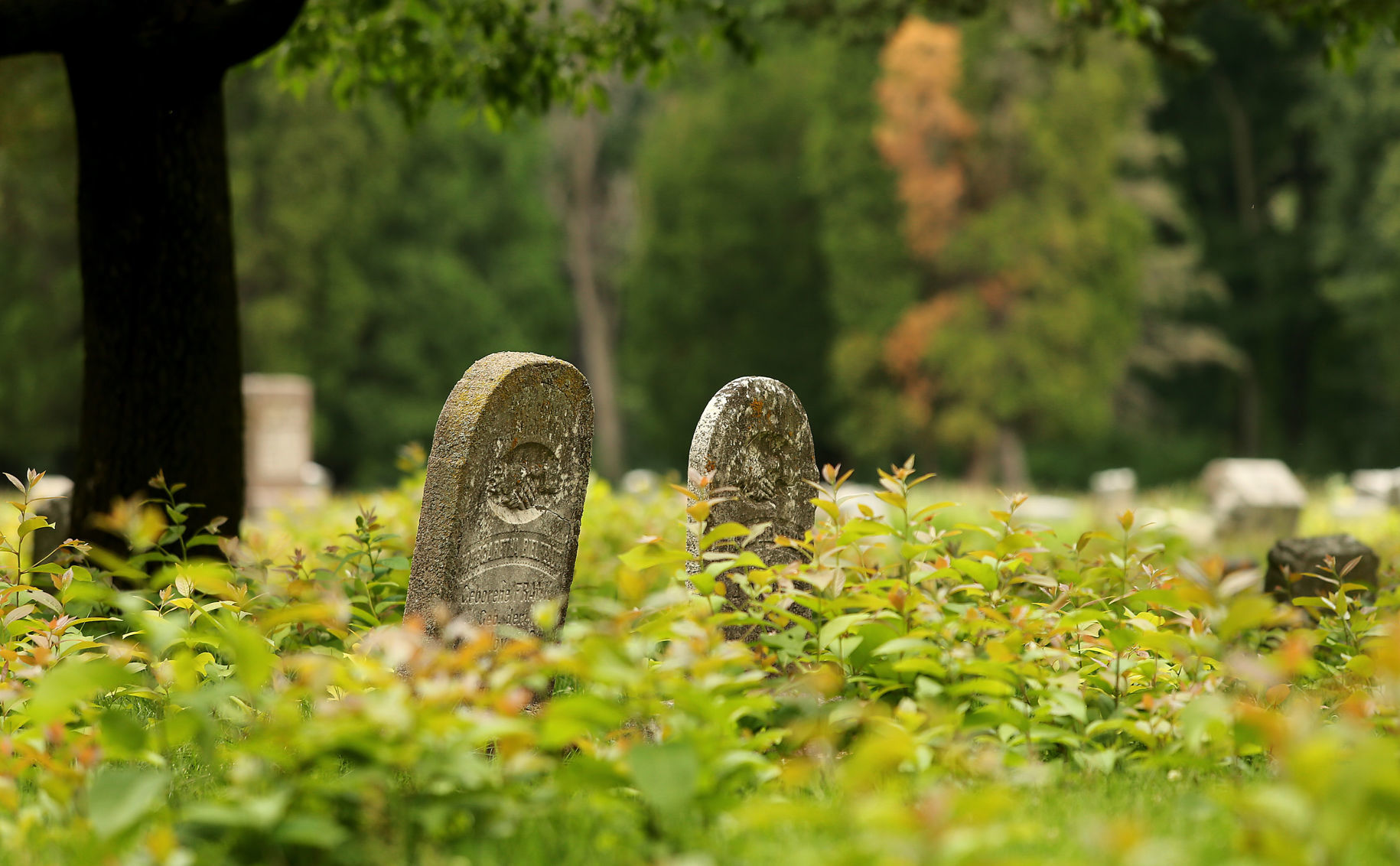 Fairmount Cemetery 17